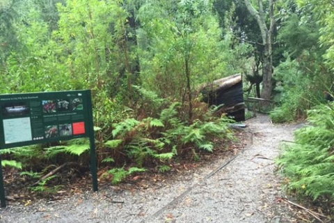 Wilsons Promontory Walking And Sightseeing Tour From Phillip Island - Whitsundays Accommodation 1