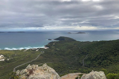 Wilsons Promontory Walking And Sightseeing Tour From Phillip Island - Whitsundays Accommodation 7
