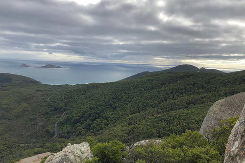 Wilsons Promontory Walking And Sightseeing Tour From Phillip Island - Whitsundays Accommodation 5