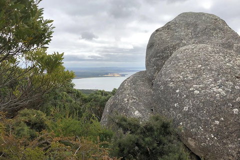 Wilsons Promontory Walking And Sightseeing Tour From Phillip Island - Whitsundays Accommodation 15