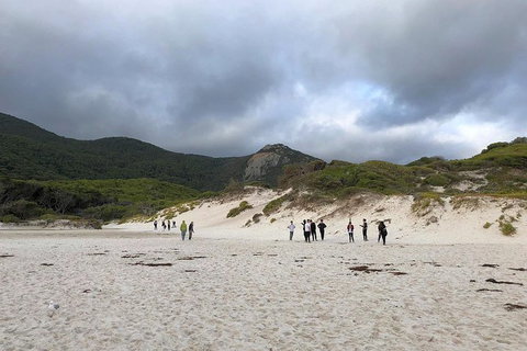 Wilsons Promontory Walking And Sightseeing Tour From Phillip Island - Whitsundays Accommodation 4