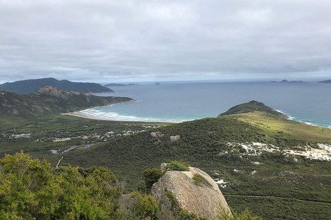 Wilsons Promontory Walking And Sightseeing Tour From Phillip Island - Whitsundays Accommodation 12