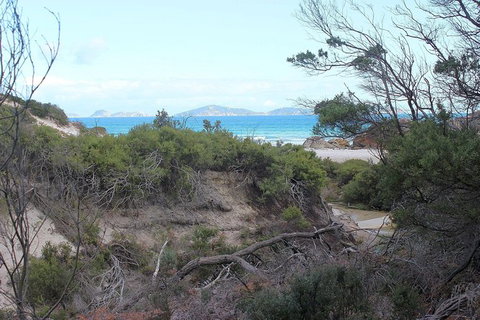 Wilsons Promontory Walking And Sightseeing Tour From Phillip Island - Whitsundays Accommodation 14