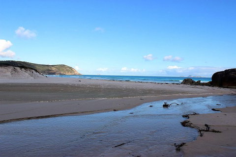 Wilsons Promontory Walking And Sightseeing Tour From Phillip Island - Whitsundays Accommodation 3