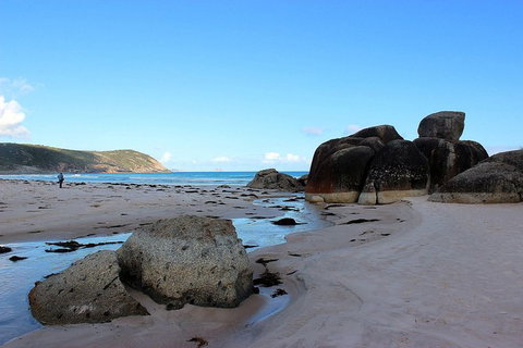 Wilsons Promontory Walking And Sightseeing Tour From Phillip Island - Whitsundays Accommodation 10