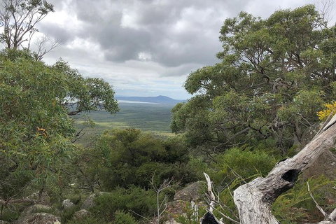 Wilsons Promontory Walking And Sightseeing Tour From Phillip Island - Whitsundays Accommodation 13