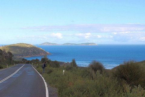 Wilsons Promontory Walking And Sightseeing Tour From Phillip Island - Whitsundays Accommodation 2