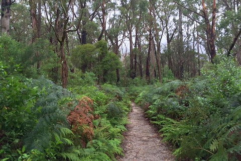 Wilsons Promontory Walking And Sightseeing Tour From Phillip Island - Whitsundays Accommodation 6