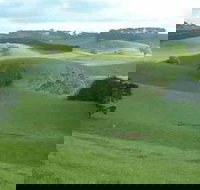 Day Tour of Phillip Island  Surrounding Region - Whitsundays Accommodation