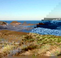 Phillip Island Walking  Bird Watching Tour - Whitsundays Accommodation