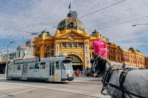 A Full Day In Melbourne With A Local: Private & Personalized - Whitsundays Accommodation 9