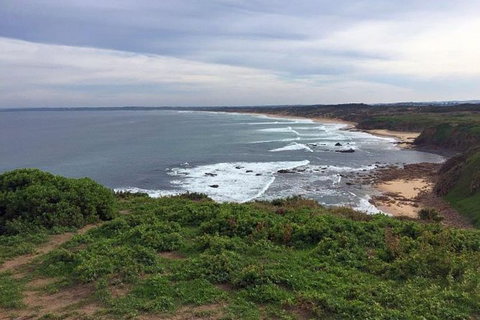 Half Day Phillip Island Woolamai Walking Tour - Whitsundays Accommodation 0