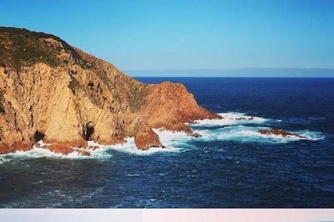 Half Day Phillip Island Woolamai Walking Tour - Whitsundays Accommodation 1