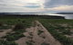 Half Day Phillip Island Woolamai Walking Tour - thumb 8