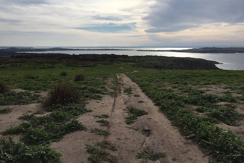 Half Day Phillip Island Woolamai Walking Tour - Whitsundays Accommodation 8