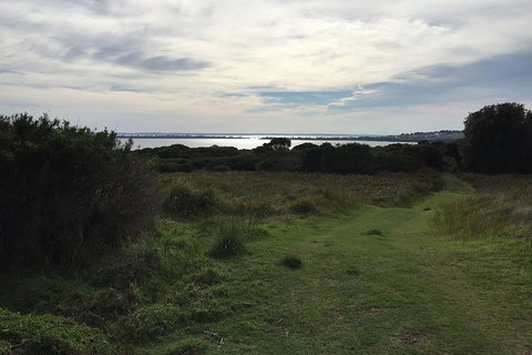 Half Day Phillip Island Woolamai Walking Tour - Whitsundays Accommodation 4