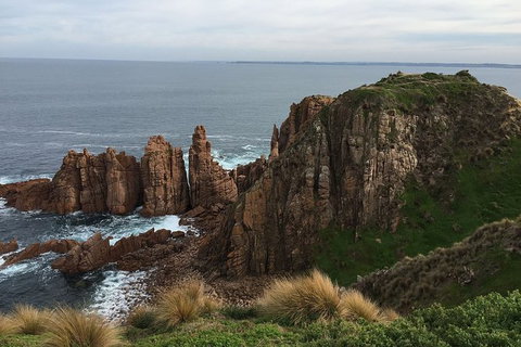 Half Day Phillip Island Woolamai Walking Tour - Whitsundays Accommodation 16