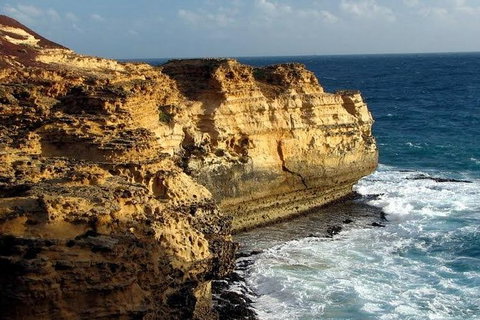 Half Day Phillip Island Woolamai Walking Tour - Whitsundays Accommodation 12