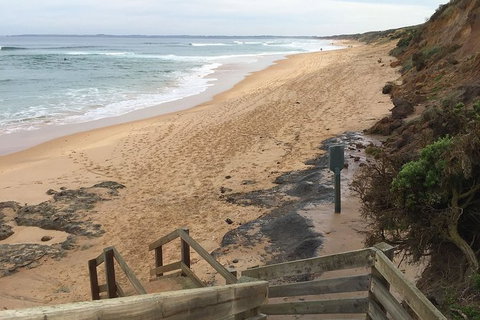 Half Day Phillip Island Woolamai Walking Tour - Whitsundays Accommodation 11