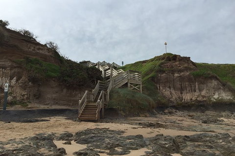 Half Day Phillip Island Woolamai Walking Tour - Whitsundays Accommodation 14