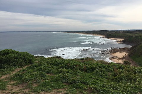 Half Day Phillip Island Woolamai Walking Tour - Whitsundays Accommodation 10