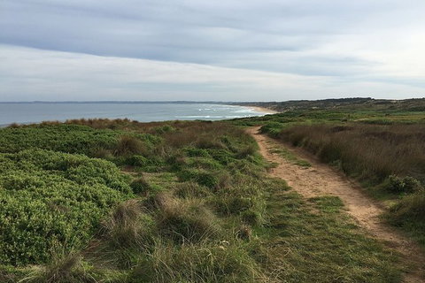 Half Day Phillip Island Woolamai Walking Tour - Whitsundays Accommodation 3