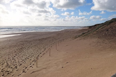 Half Day Phillip Island Woolamai Walking Tour - Whitsundays Accommodation 7