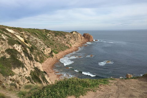 Half Day Phillip Island Woolamai Walking Tour - Whitsundays Accommodation 2