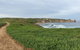 Half Day Phillip Island Woolamai Walking Tour - thumb 9