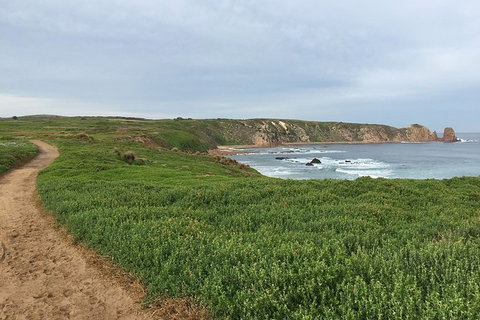 Half Day Phillip Island Woolamai Walking Tour - Whitsundays Accommodation 9