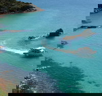 Cape Woolamai Sightseeing Cruise from San Remo - Whitsundays Accommodation