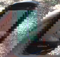 GPS guided walks in the Daylesford Forest - Whitsundays Accommodation