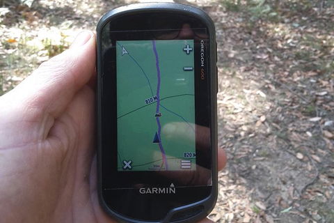 GPS Guided Walks In The Daylesford Forest - Whitsundays Accommodation 0