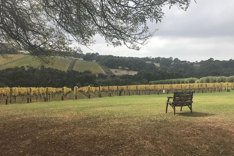 Rick's Wine Tours - Whitsundays Accommodation 1