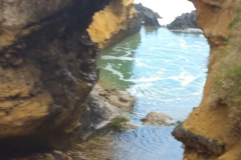 Adventure Sunset Three Day Great Ocean Road Tour - Whitsundays Accommodation 17