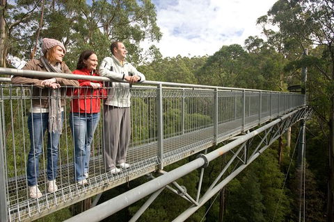 Adventure Sunset Three Day Great Ocean Road Tour - Whitsundays Accommodation 14
