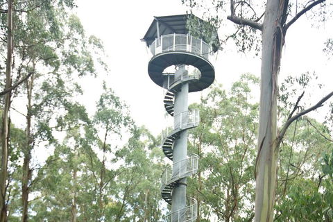 Adventure Sunset Three Day Great Ocean Road Tour - Whitsundays Accommodation 3