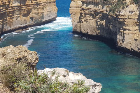 Adventure Sunset Three Day Great Ocean Road Tour - Whitsundays Accommodation 27