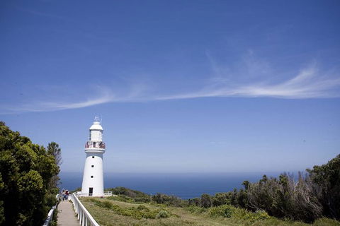 Adventure Sunset Three Day Great Ocean Road Tour - Whitsundays Accommodation 24