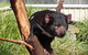 Tasmania 6 Day \'Tour In Circle\' - thumb 10