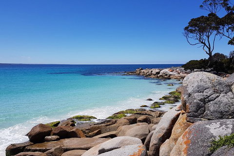 Tasmania 6 Day \'Tour In Circle\' - Whitsundays Accommodation 4