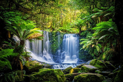 Day Tour In Mt. Field, Mt. Wellington, Bonorong Wildlife Sanctuary And Richmond - Whitsundays Accommodation 0