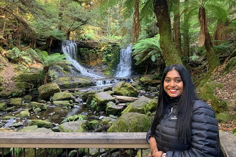 Day Tour In Mt. Field, Mt. Wellington, Bonorong Wildlife Sanctuary And Richmond - Whitsundays Accommodation 4