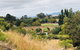 Day Tour In Mt. Field, Mt. Wellington, Bonorong Wildlife Sanctuary And Richmond - thumb 6