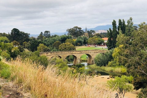 Day Tour In Mt. Field, Mt. Wellington, Bonorong Wildlife Sanctuary And Richmond - Whitsundays Accommodation 6