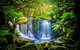 Day Tour In Mt. Field, Mt. Wellington, Bonorong Wildlife Sanctuary And Richmond - thumb 7