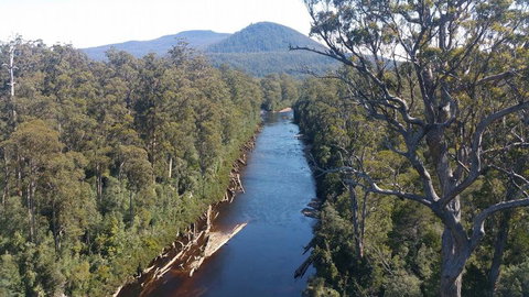 Small-group DayTour From Hobart: Hastings Caves, Huon Valley And Tahune AirWalk - Whitsundays Accommodation 3