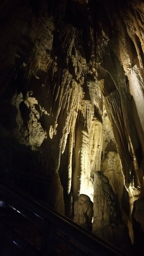 Small-group DayTour From Hobart: Hastings Caves, Huon Valley And Tahune AirWalk - Whitsundays Accommodation 5