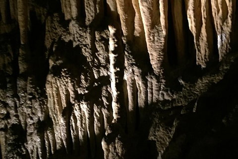 Small-group DayTour From Hobart: Hastings Caves, Huon Valley And Tahune AirWalk - Whitsundays Accommodation 1