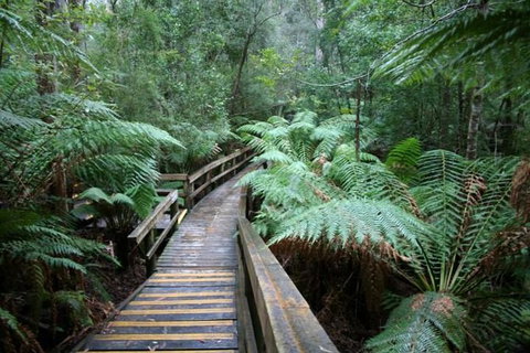 Small-group DayTour From Hobart: Hastings Caves, Huon Valley And Tahune AirWalk - Whitsundays Accommodation 0